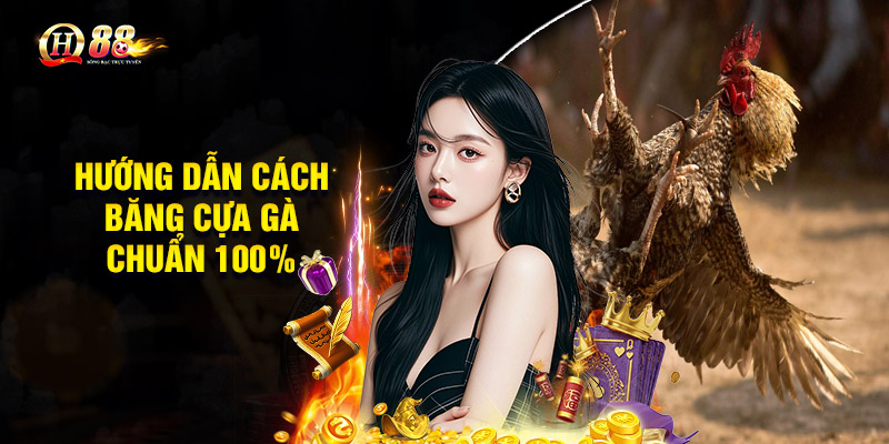 Hướng dẫn cách băng cựa gà chuẩn 100%