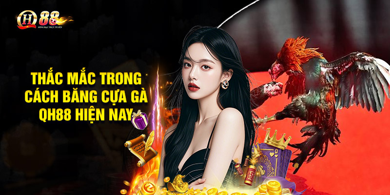 Thắc mắc trong cách băng cựa gà QH88 hiện nay