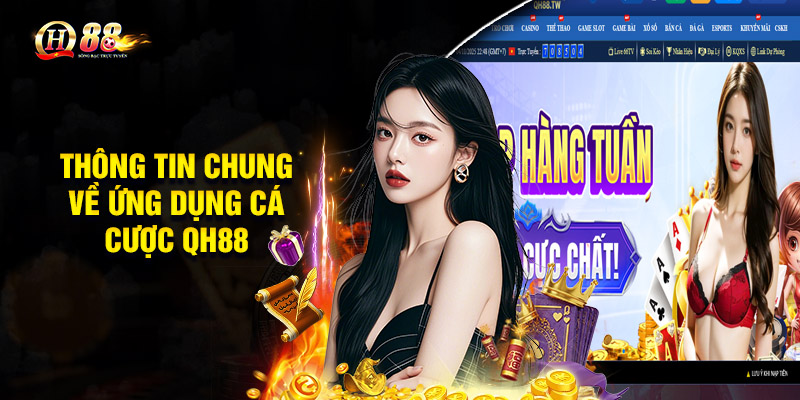 Tải App QH88 – Hướng Dẫn Chi Tiết Và Cách Sử Dụng 1 Thông tin chung về ứng dụng cá cược QH88