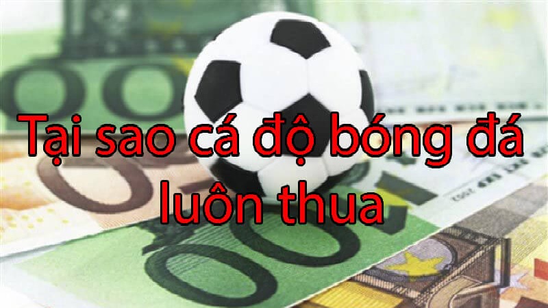 Các bước giảm rủi ro khi đặt cược