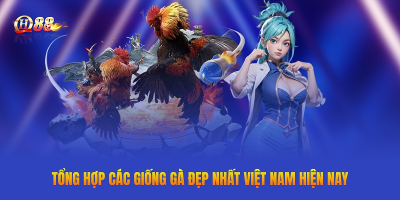 Tổng hợp các giống gà đẹp nhất Việt Nam hiện nay